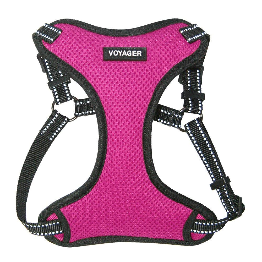 [Australia] - Voyager Step-In Flex Dog Harness - All Weather Mesh, Step In Adjustable Harness for Small and Medium Dogs by Best Pet Supplies Fuchsia 