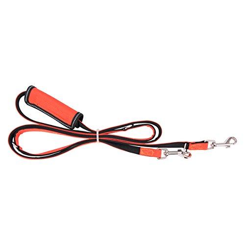 [Australia] - Puppia PLRA-AL9323-OR-M Orange Trek Lead Pet-Leashes, Medium 