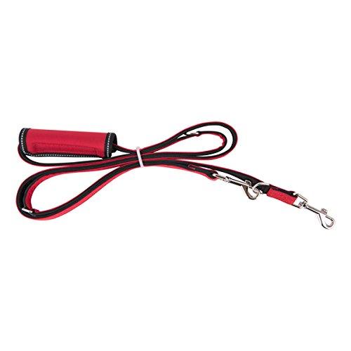 [Australia] - Puppia PLRA-AL9323-RD-M Red Trek Lead Pet-Leashes, Medium 