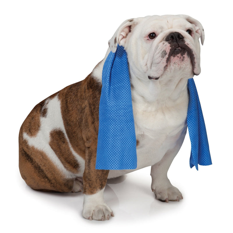 [Australia] - Cool Pup Dog Cooling Pet Towel Single Towel 