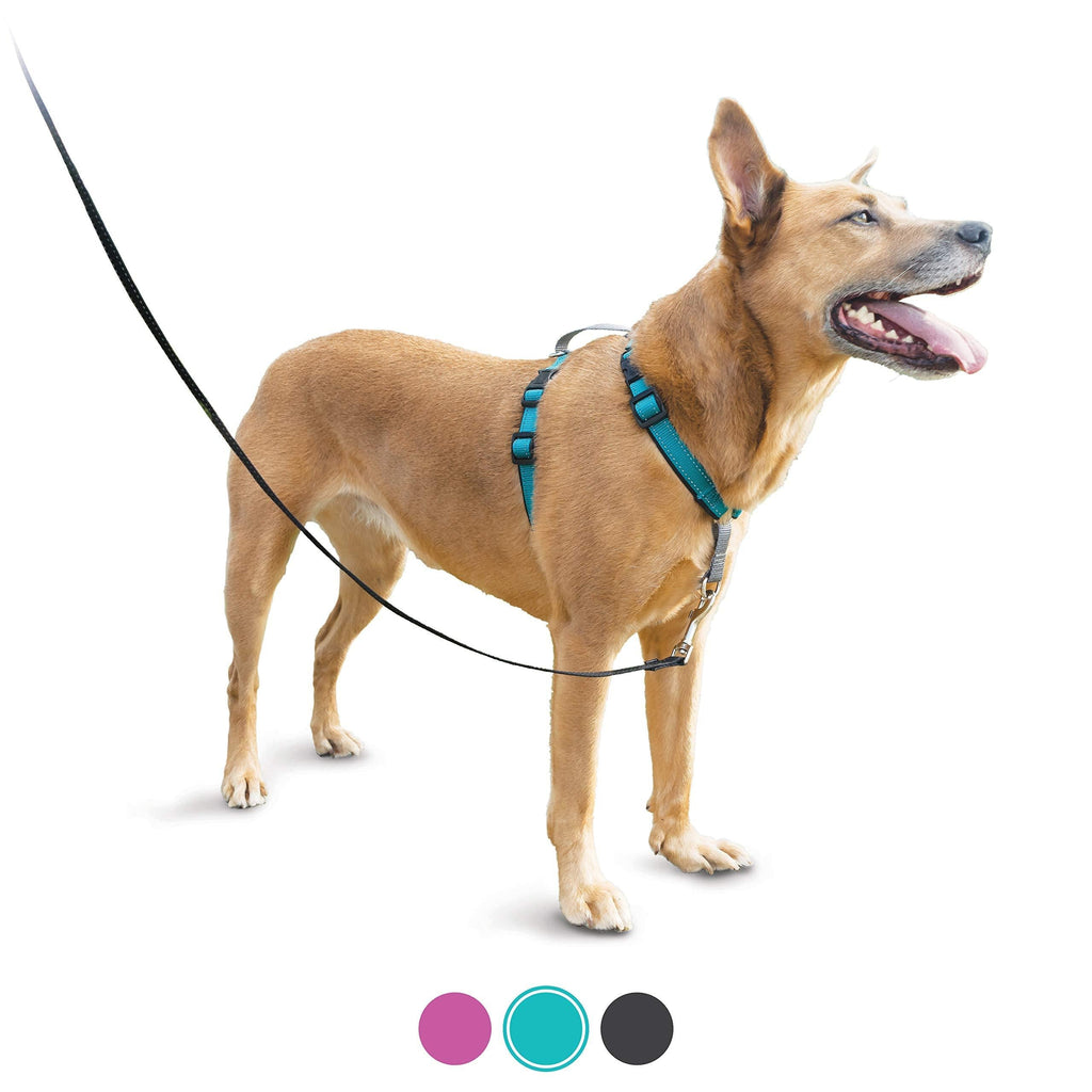 [Australia] - PetSafe 3 in 1 Harness - No-Pull Dog Harness - for X-Small, Small, Medium and Large Breeds - from the Makers of the Easy Walk Harness Teal 