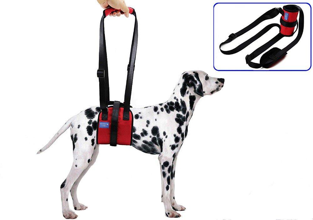 [Australia] - BIG SMILE PAW Dog Lift Support Harness,Height Adjustable Handle;Dog Mobility Harness with Handle 