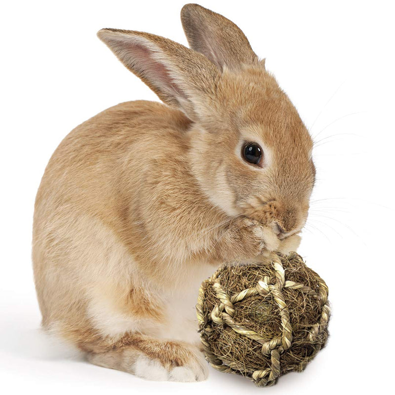 [Australia] - SunGrow Rabbit Teeth Coconut Fiber Ball, 2.5-3 Inches, Chewable Coconut Fibers, Environmentally Friendly, Stress Relieving, Lightweight Ball for Hours of Stimulation, Ideal for Pocket Pet, 1 Piece 