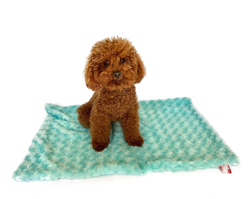 [Australia] - The Dog Squad Rosebud Minkie Binkie Blanket, Small/20" x 30", Sea Foam 