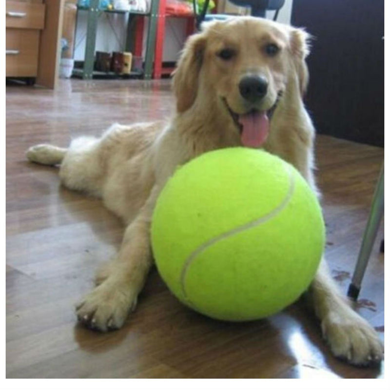 [Australia] - Hot 9.5" Big Giant Pet Dog Puppy Tennis Ball Thrower Chucker Launcher Play Toy 