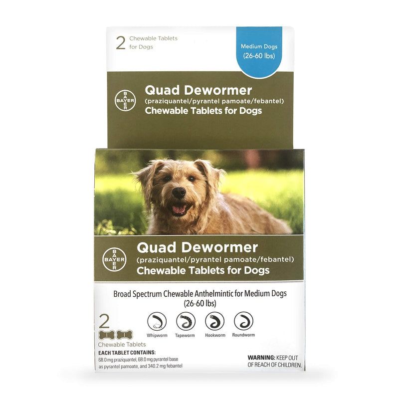 Bayer Chewable Quad Dewormer for Medium Dogs, 26-60 lbs, 2 chewable tablets - PawsPlanet Australia