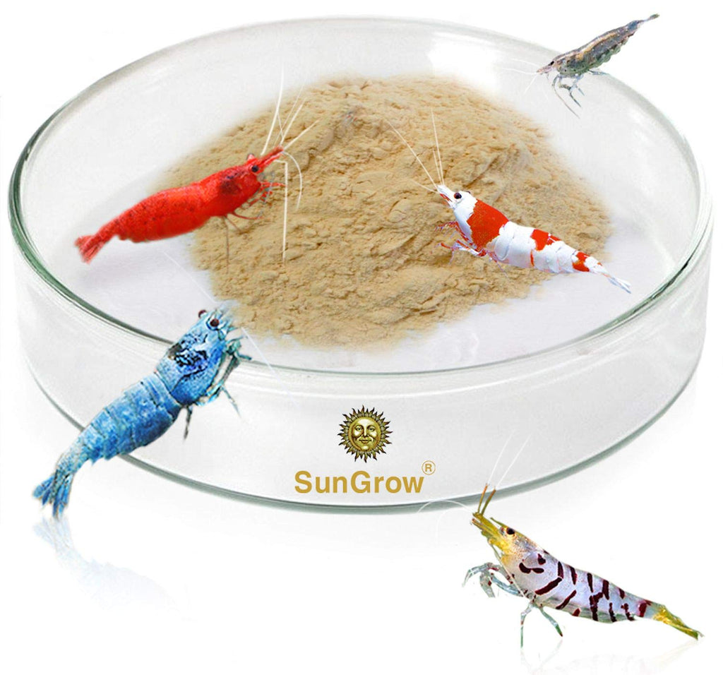 SunGrow Tough Borosilicate Glass Shrimp Feed Dish, 2.5 Inches Wide and 0.5 Inch Deep, Avert Food Spilling, Heavy-Duty, Transparent Basin for Shrimp Food or Fish's Tubifex Worms - PawsPlanet Australia
