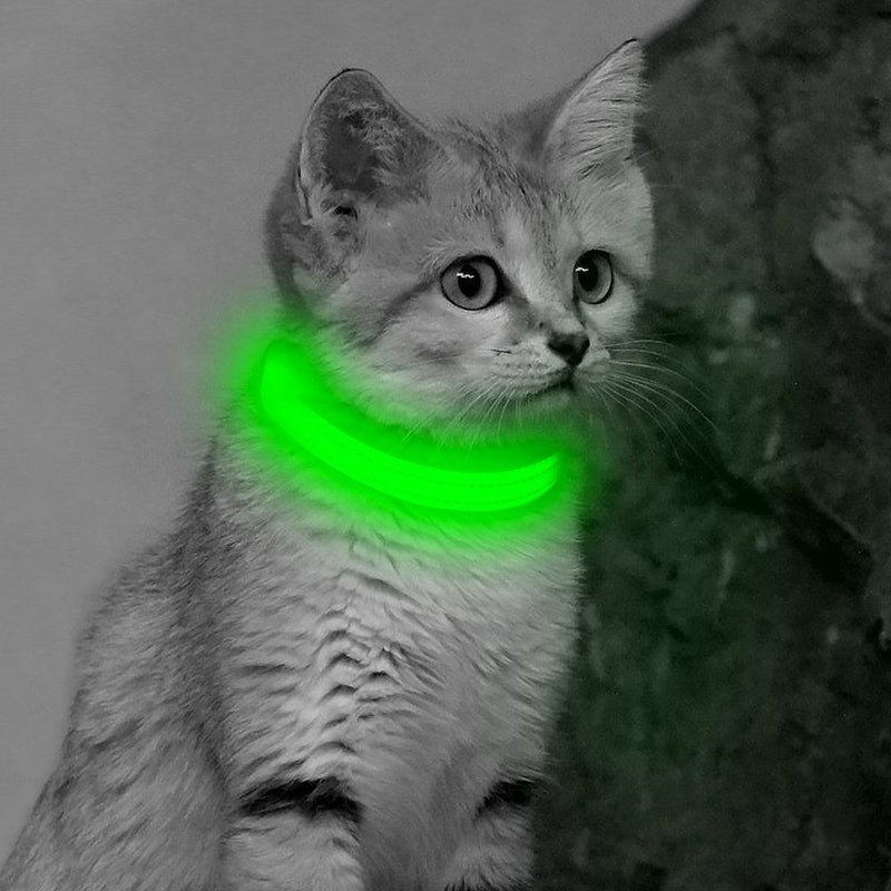[Australia] - VIZPET LED Cat Dog Collar USB Rechargeable & XS Adjustable Size Nylon Collar Bright Safety Pet Collar for Small Cats & Dogs Green 