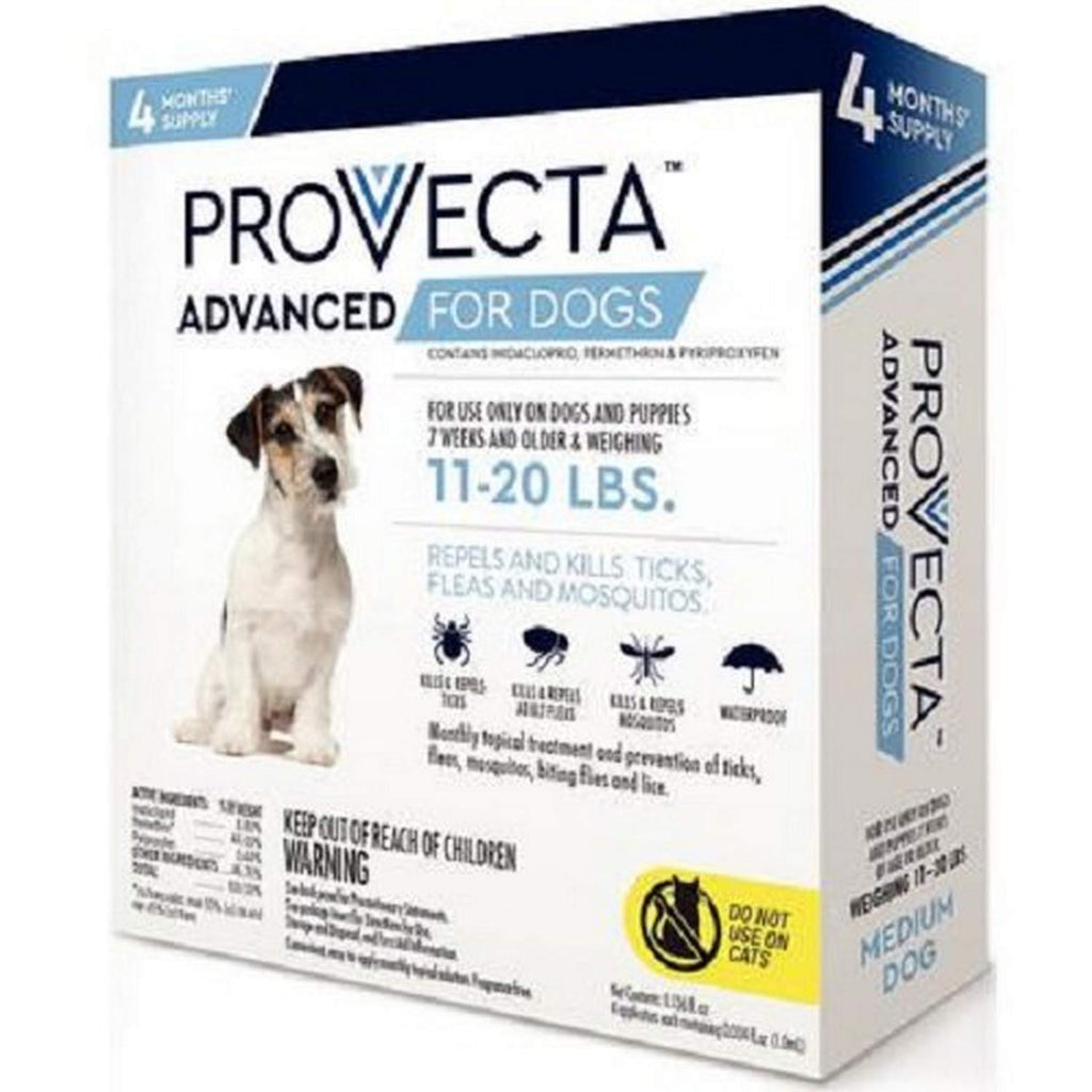 Provecta 4 Doses Advanced for Dogs, Medium/11-20 lb - PawsPlanet Australia