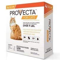 Provecta Advanced for Cats Over 9 Lbs. (4 dose), Orange - PawsPlanet Australia