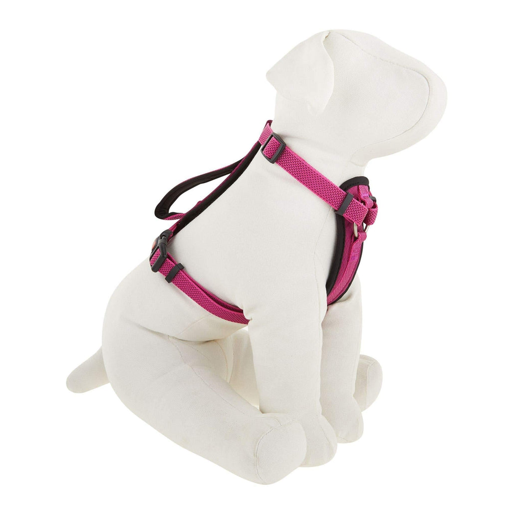 [Australia] - KONG Comfort Padded Chest Plate Dog Harness Offered by Barker Brands Inc. Medium Pink 