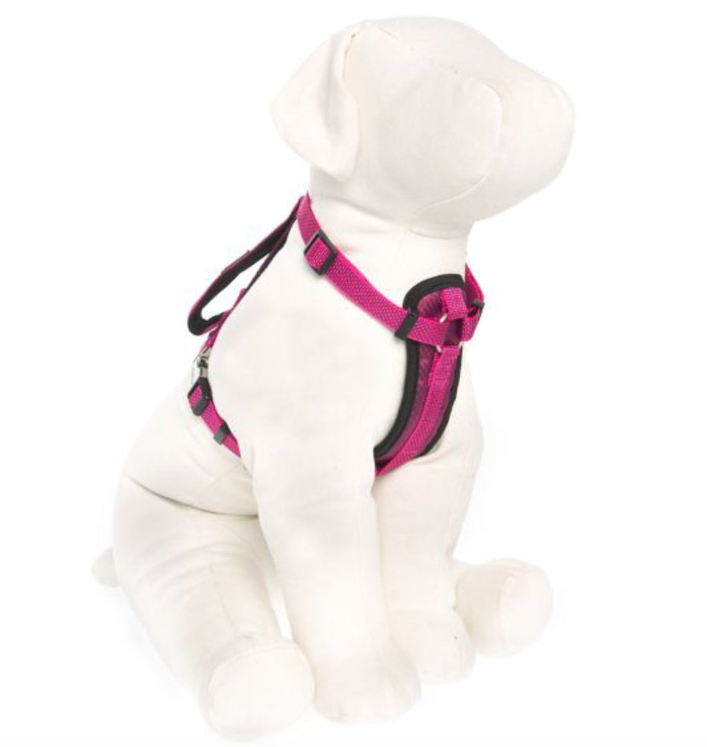 [Australia] - KONG Comfort Padded Chest Plate Dog Harness offered by Barker Brands Inc. XL Pink 