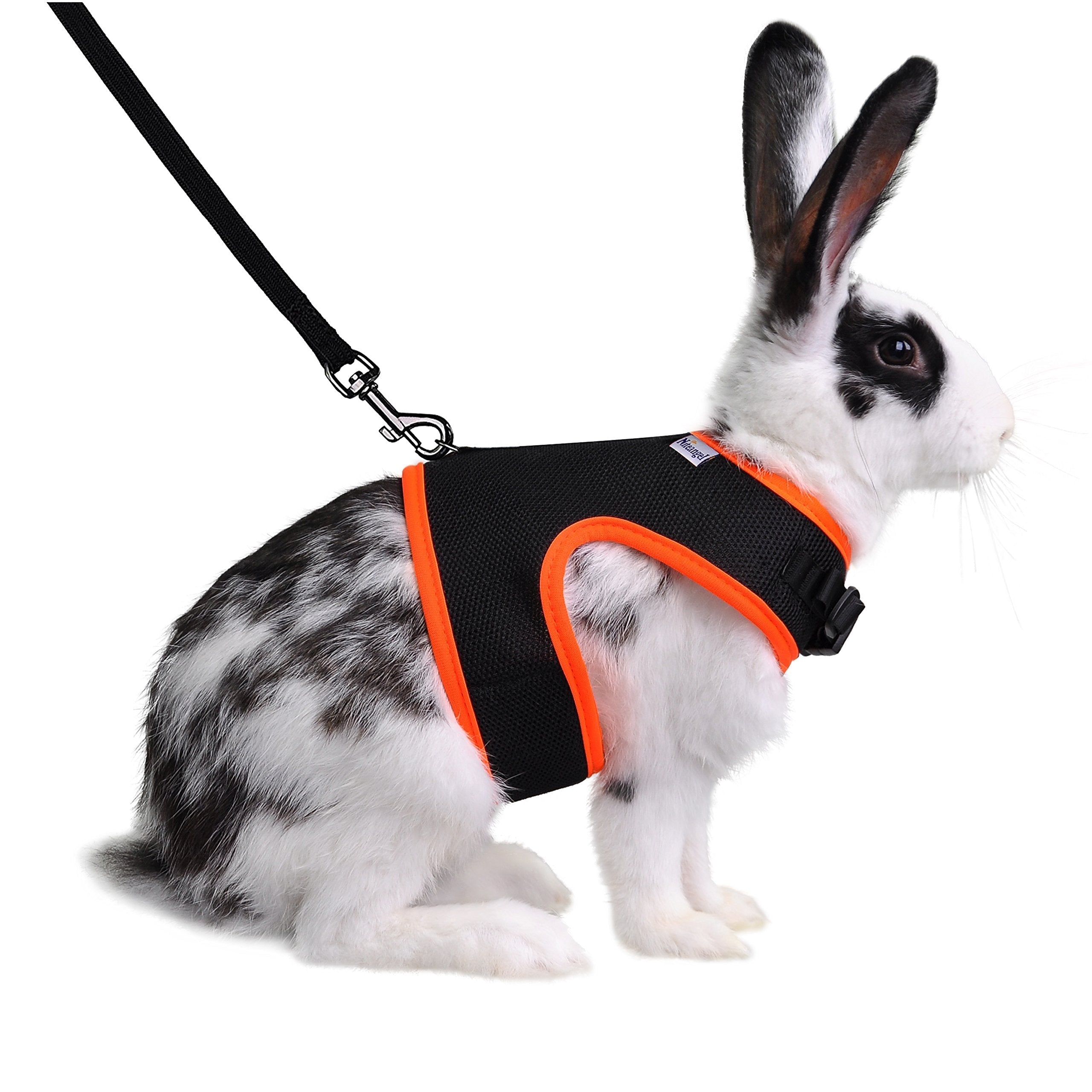 Niteangel 2-Pack Adjustable Cat Harness With Leash Review