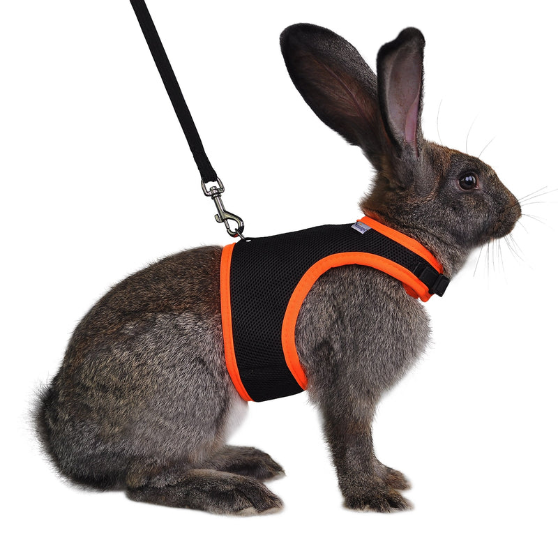 Niteangel Adjustable Soft Harness with Elastic Leash for Rabbits S Black - PawsPlanet Australia