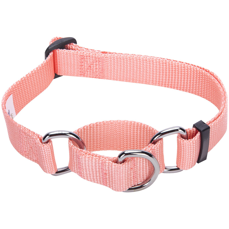 Blueberry Pet Essentials 21 Colors Safety Training Martingale Dog Collars, Personalized Martingale Dog Collars Small Baby Pink - PawsPlanet Australia