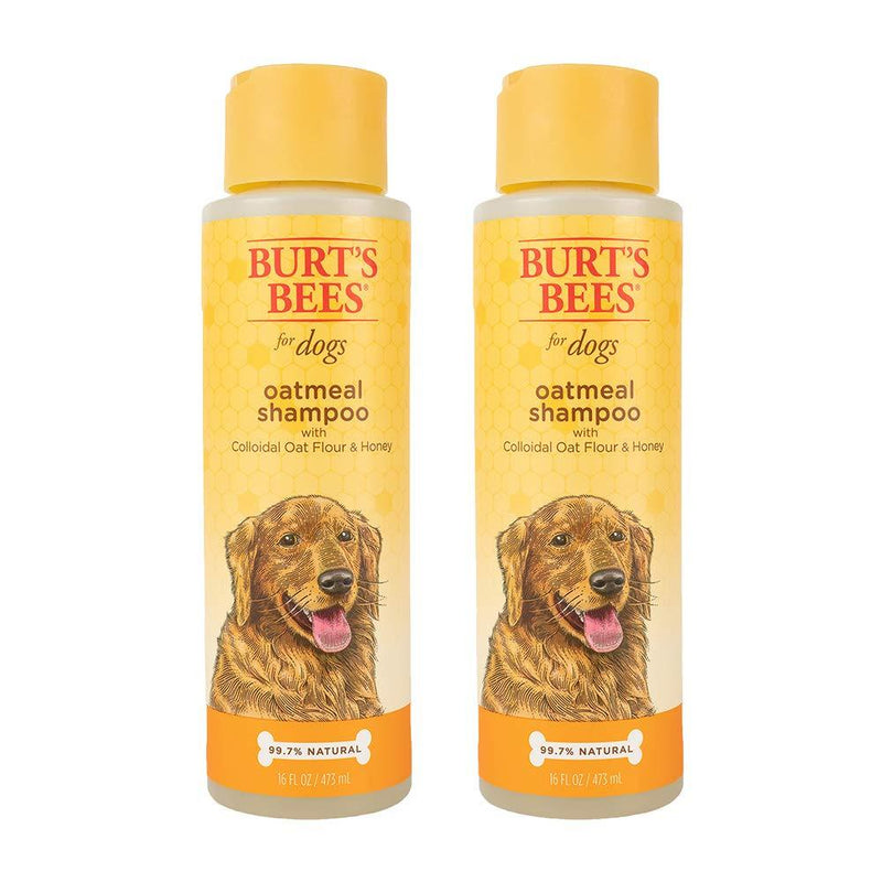 Burt's Bees for Dogs Natural Oatmeal Shampoo for Dogs, Colloidal Oat Flour & Honey - Oatmeal Dog Shampoo - Dog Grooming Supplies, Dog Bathing Supplies, Burts Bees Dog Shampoo, Dog Wash, Pet Shampoo 2 Pack Shampoo (16oz) - PawsPlanet Australia