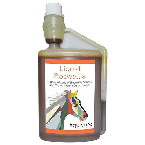 Equicure Liquid Boswellia 1 Litre - Natural Anti-Inflammatory and Pain Relief For Horse/Pony - PawsPlanet Australia