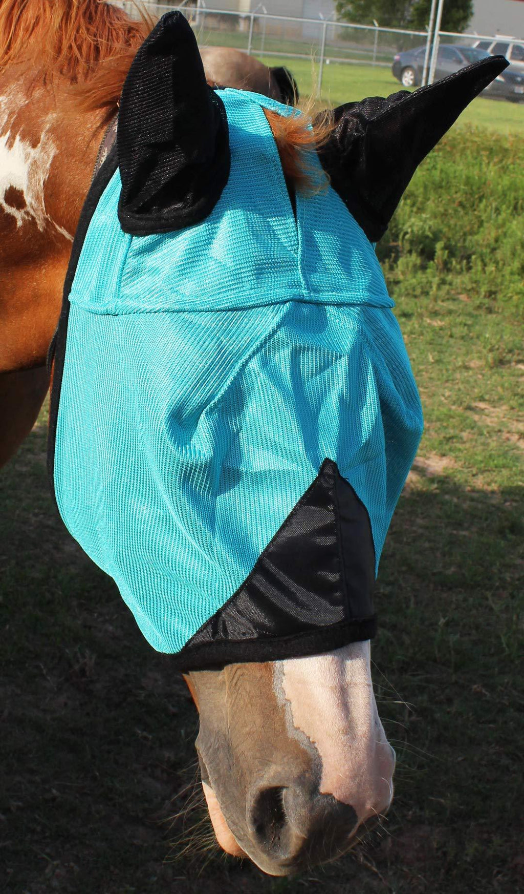 CHALLENGER Equine Horse Light Weight Mask Summer Spring Airflow Mesh Turquoise 73269 - PawsPlanet Australia