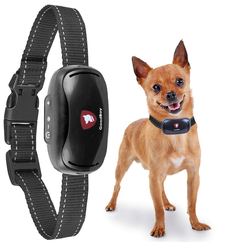 Small Dog Bark Collar by GoodBoy Rechargeable And Weatherproof Vibrating Bark Deterrent for Small And Medium Dogs Is Smallest & Most Safe On Amazon - No Spiky Prongs! (2,5+kg) - PawsPlanet Australia