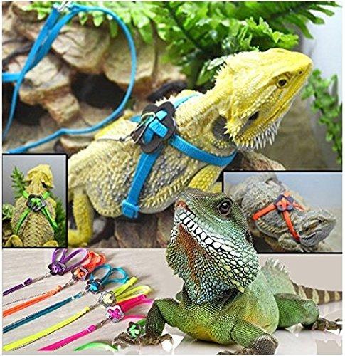 [Australia] - Serdokntbig Adjustable Reptile Lizard Turtle Harness Leash Multi Color Light Soft Fashion Pet Small Animal Style A 