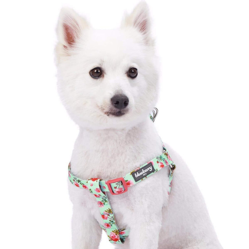 Blueberry Pet 10+ Patterns Spring Scent Inspired Floral Print/Camo Print Dog Harnesses Harness - (16.5" - 21.5") Chest Girth Turquoise - PawsPlanet Australia
