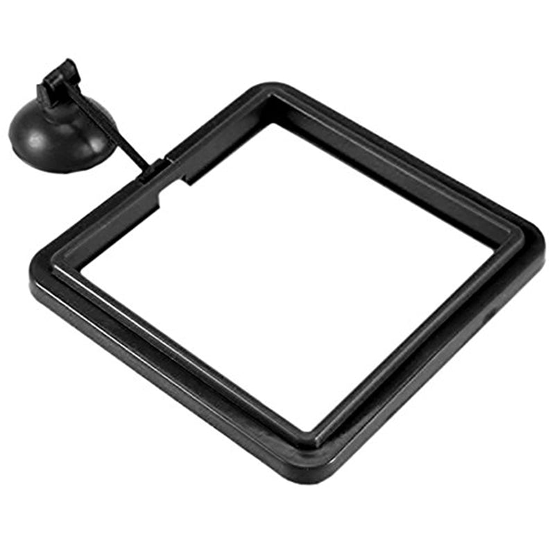 SunGrow Feeding Ring, 4x4 Inches, Floating Food Square, Suitable for Flakes and Floating Fish Food for Goldfish and Other Smaller Fish - PawsPlanet Australia
