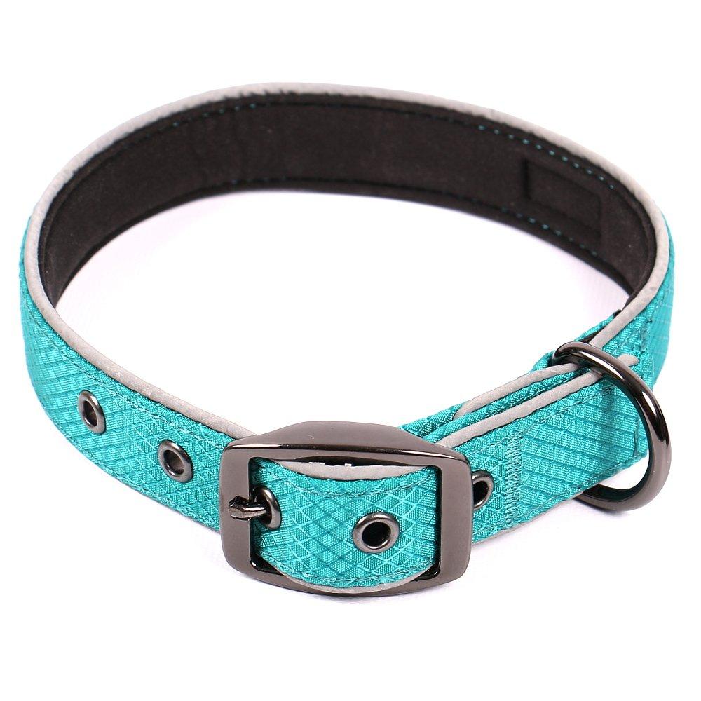 [Australia] - Max and Neo Glacier Reflective Neoprene Metal Buckle Dog Collar - We Donate a Collar to a Dog Rescue for Every Collar Sold MEDIUM (14"-18") TEAL 