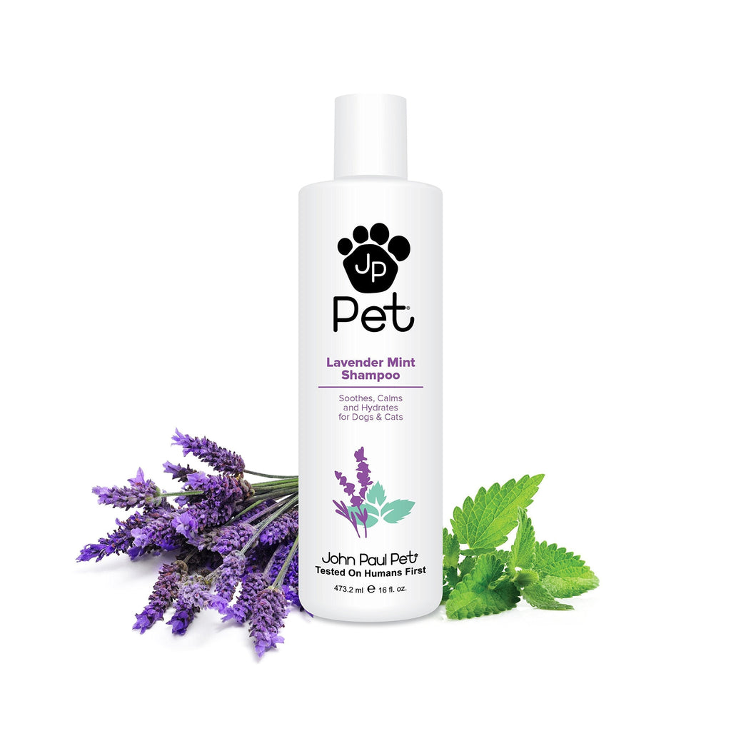 [Australia] - John Paul Pet Lavender Mint Shampoo for Dogs and Cats, Soothes Calms and Hydrates, 16-Ounce 16 Ounce Shampoo 