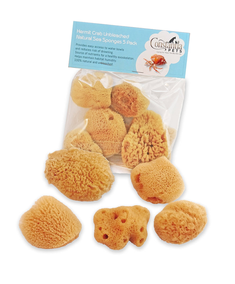 Constantia Pets Hermit Crab Real Sea Sponges - 5 Pack Unbleached, Provides Nutrients, Safer Drinking and Helps Maintain Habitat Tank Humidity - PawsPlanet Australia