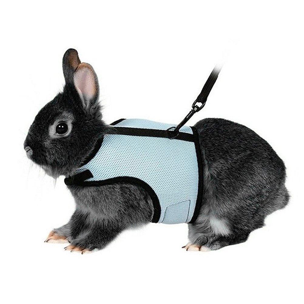 UEETEK Soft Harness with Lead for Rabbits Bunny Little Pets - Size L(Sky Blue) - PawsPlanet Australia