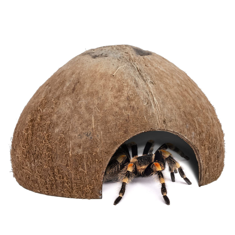 Niteangel 2 Pack Natural Coconut Reptile Hideouts, Lizard, Spider and Aquarium Fish Hide Cave Natural Surface - PawsPlanet Australia