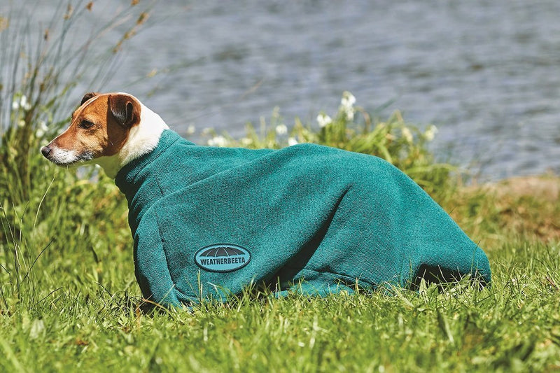 [Australia] - Weatherbeeta Dry-Dog Bag XL Hunter Green 
