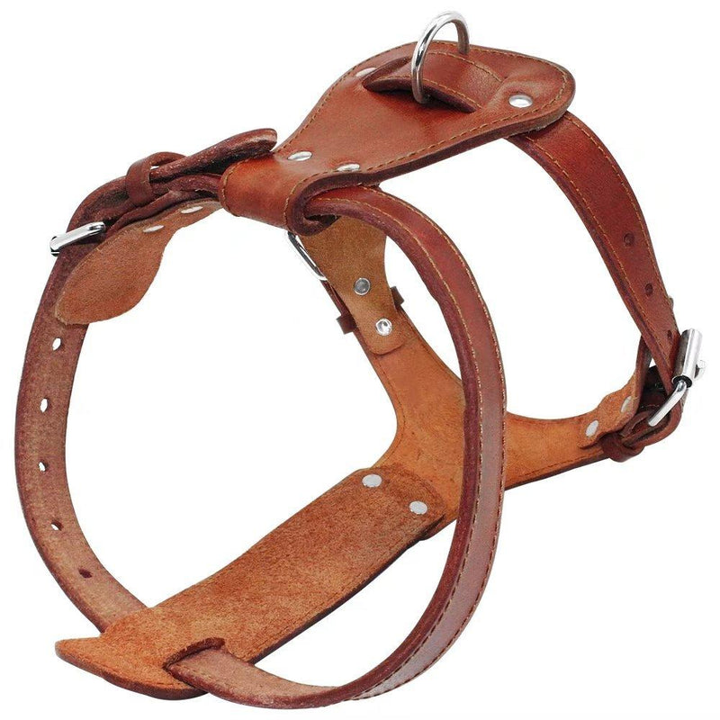 [Australia] - Beirui Genuine Leather Dog Harness Pet Training Walking Harness for Medium Large Dogs Pitbull Boxer Mastiff Chest for 24-29.5" Brown 