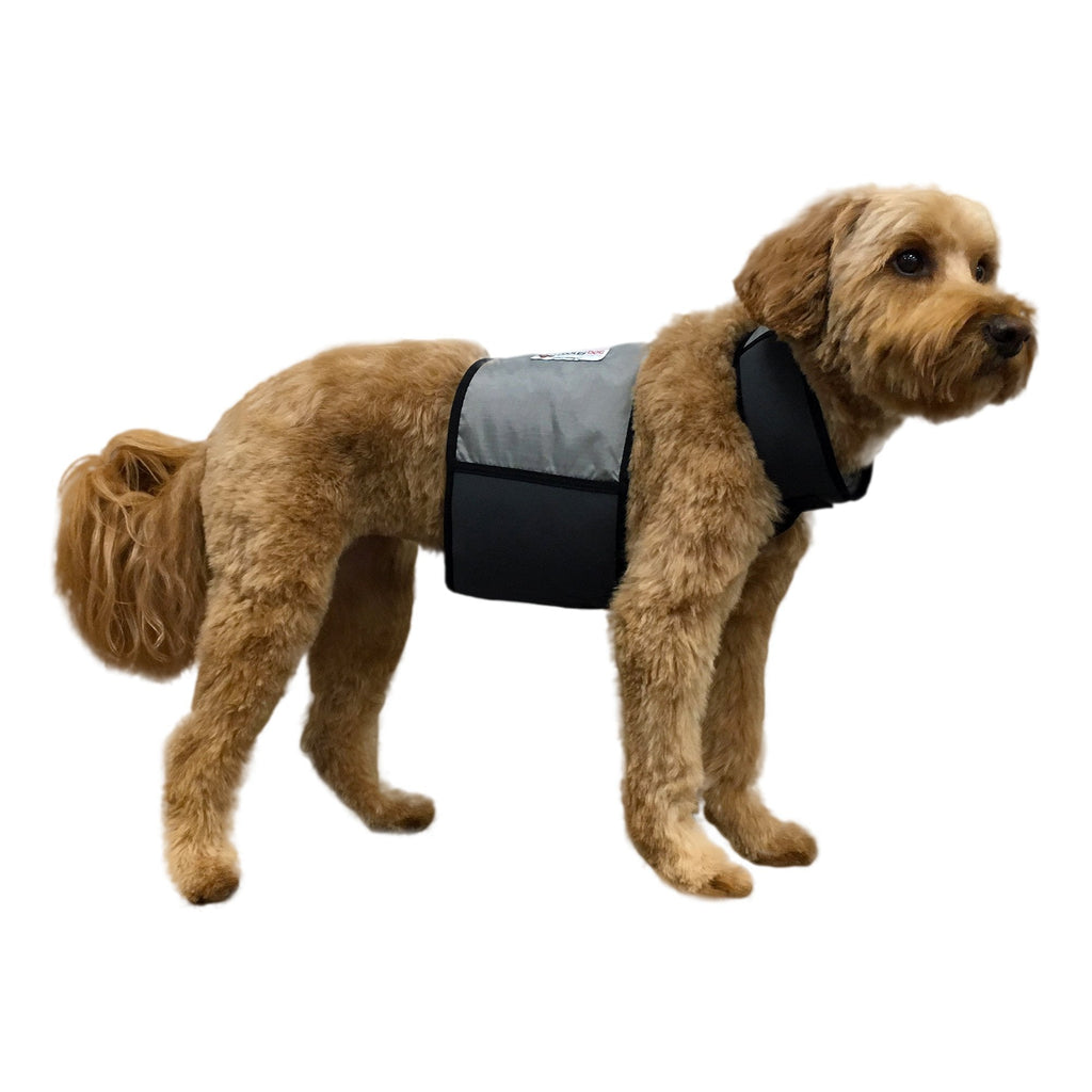 [Australia] - CoolerDog Dog Cooling Vest and Cooling Collar - Ice Vest for Dogs M 