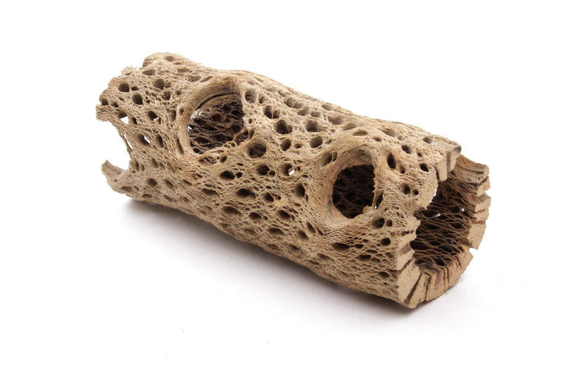 My Pet Patrol 3 to 48 Inch All Natural Teddy Bear Cholla Wood Extra Hollow Large Untreated Organic Aquarium Driftwood Decoration Chew Toy Shrimp Crab Multi-Quantity 6 Inch (Pack of 1) - PawsPlanet Australia