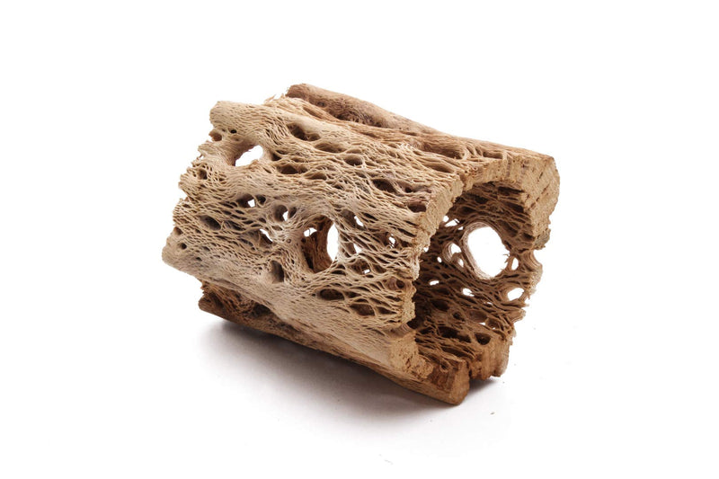 My Pet Patrol 3 to 48 Inch All Natural Teddy Bear Cholla Wood Extra Hollow Large Untreated Organic Aquarium Driftwood Decoration Chew Toy Shrimp Crab Multi-Quantity 1 Piece, 3 inch - PawsPlanet Australia