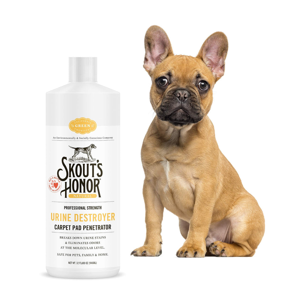 [Australia] - SKOUT'S HONOR: Urine Destroyer Carpet Pad Penetrator - Break Down Urine Stains & Eliminate Odors - Safe for Rugs, Carpet, Upholstery, and Other Porous Surfaces - All Natural Professional Strength 