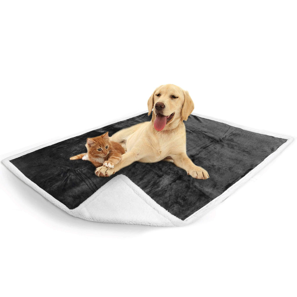 PetAmi Waterproof Dog Blanket for Bed, Couch, Sofa | Waterproof Dog Bed Cover for Large Dogs, Puppies | Sherpa Fleece Pet Blanket Furniture Protector | Reversible Microfiber 60 x 40 Inches Charcoal - PawsPlanet Australia