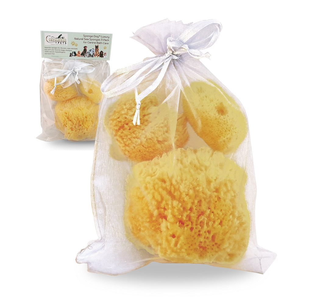 [Australia] - Constantia Pets Sea Sponges for Dogs - Luxury Canine Bath Care, for Pet Grooming, Soft & Gentle Pampering 