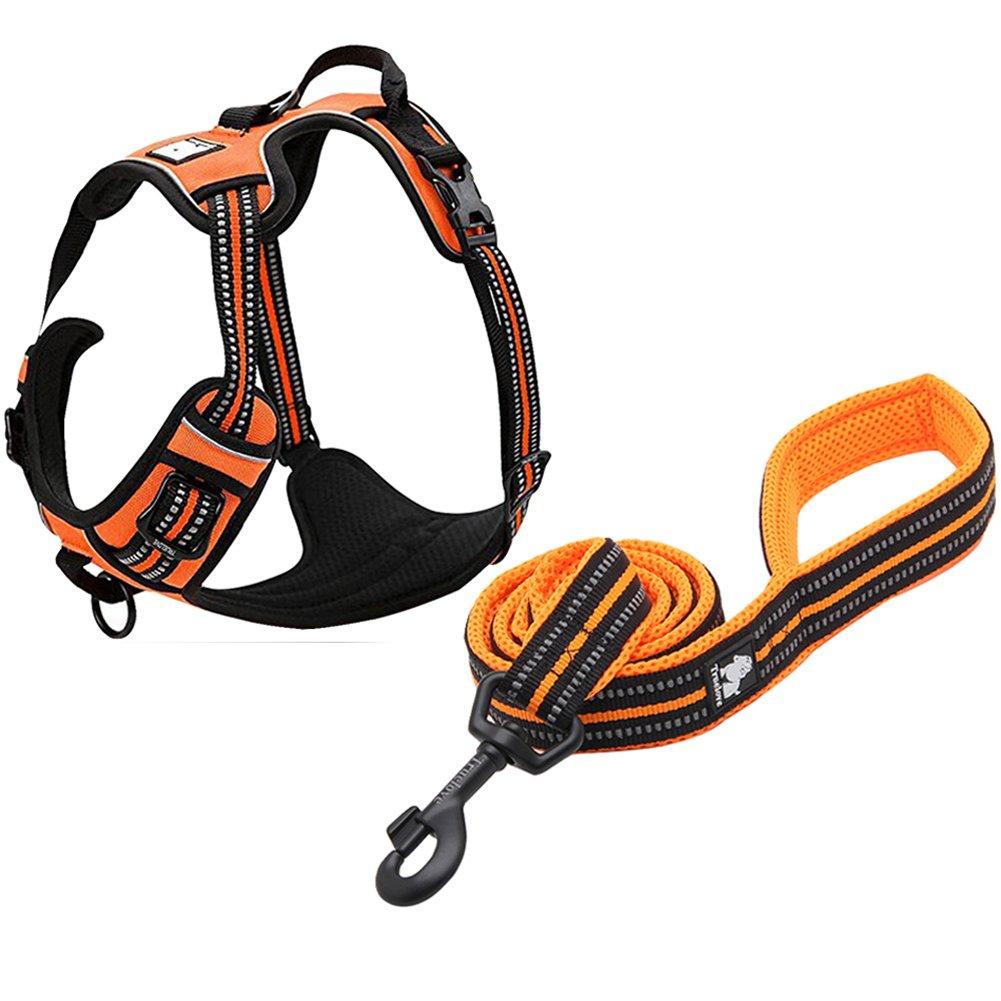 [Australia] - Creation Core Reflective Nylon No-Pull Dog Harness and Training Leash Set Padded Durable Adjustable M(chest: 22-27") Orange Set 