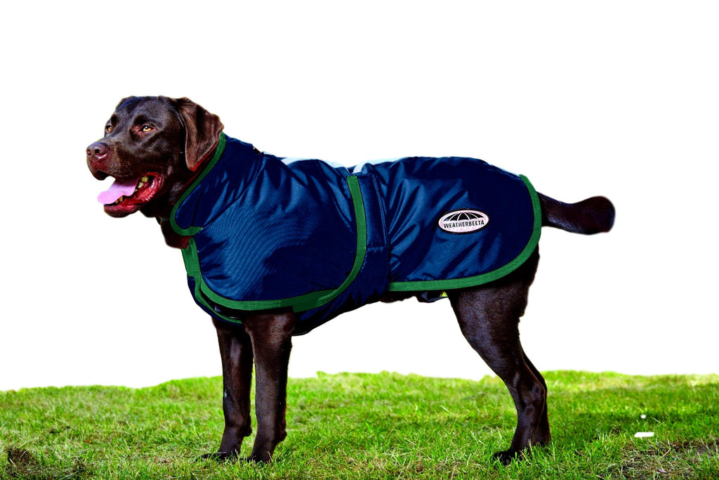 [Australia] - Weatherbeeta for One Stop 600D Deluxe Dog Coat 24 Blue/Evergreen 