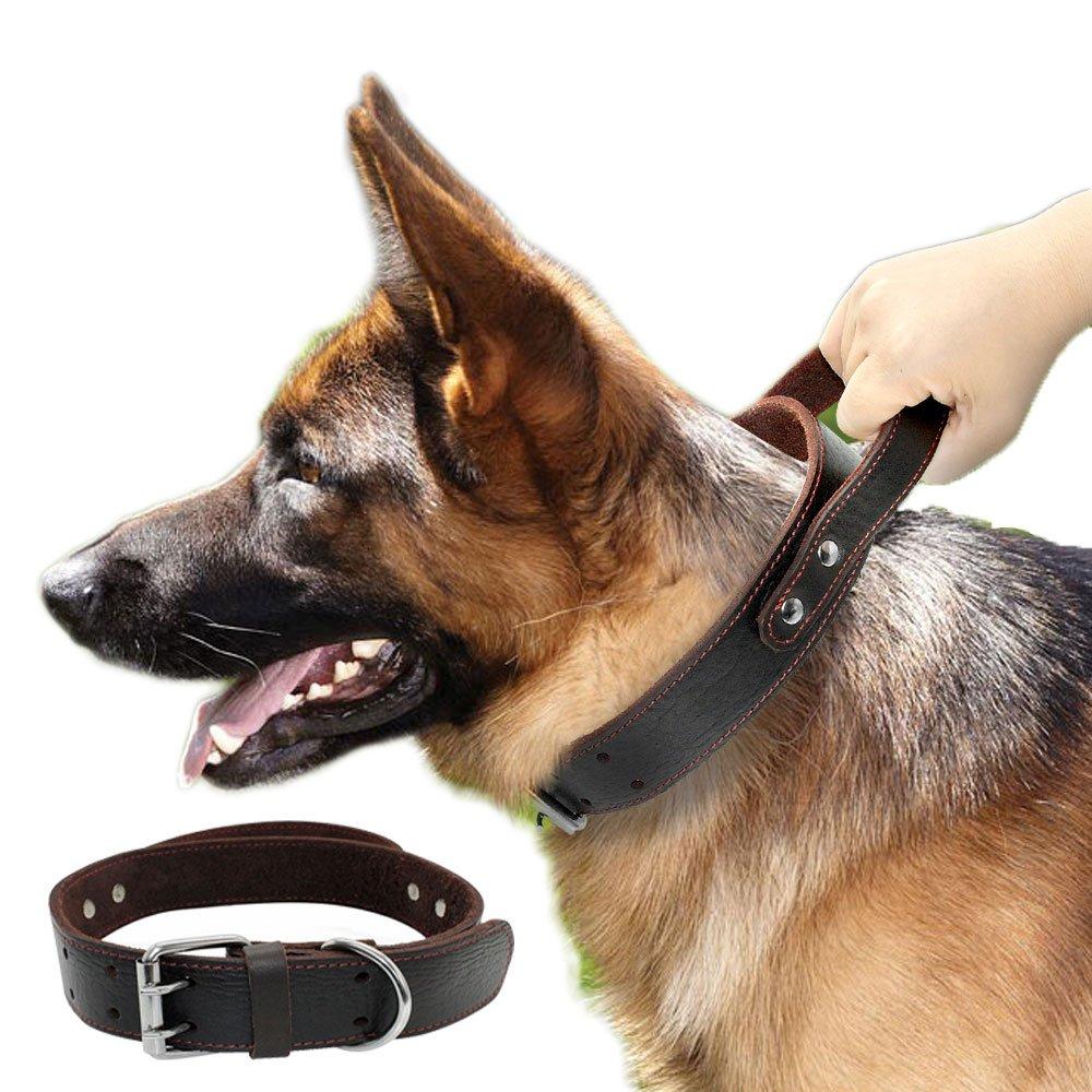 [Australia] - PET ARTIST Genuine Leather Dog Collar for Walking & Training Heavy Duty Dog Collar with Handle for Medium & Large Dogs L:neck fit 19.0-23.5'' 