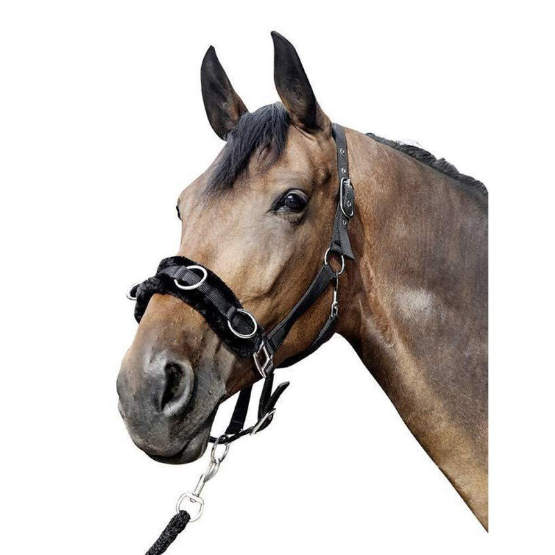 Hkm Hkm 4057052241727 Nylon Cavity Bridle With Plush Padding9100 Blackshetty - PawsPlanet Australia