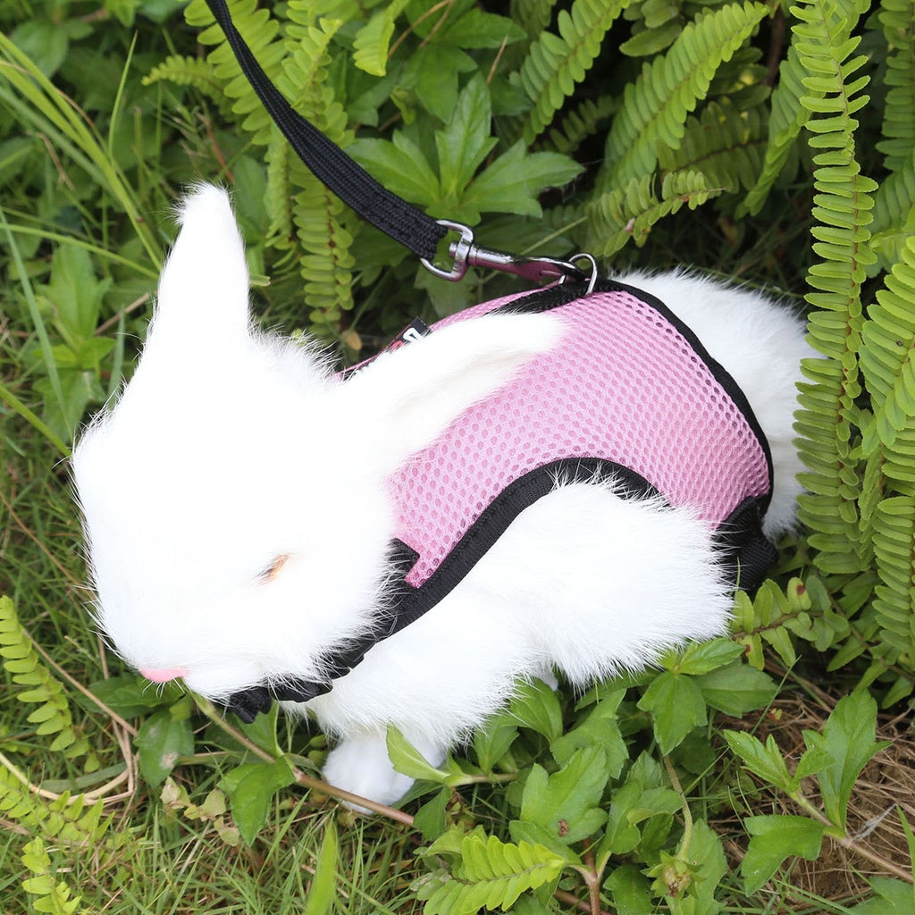 Rabbits Harness Small Animal Collars - Adjustable Soft Breathable Mesh Harness and Leash with Velcro for Bunny Small Animals Walking, 2 Year Warranty，Pink - PawsPlanet Australia