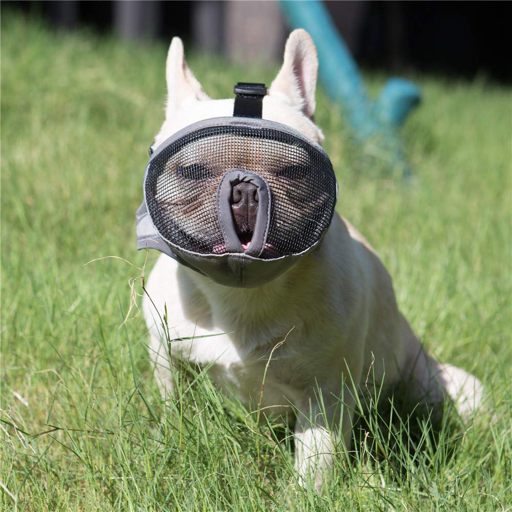 JYHY Short Snout Dog Muzzles- Adjustable Breathable Mesh Bulldog Muzzle for Biting Chewing Barking Training S(9"-12") Grey - PawsPlanet Australia
