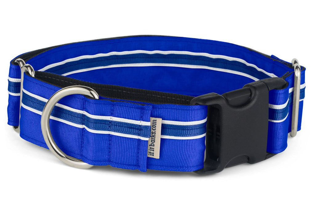 If It Barks - 1.5" Martingale Collar for Dogs - Adjustable - Nylon - Strong and Comfy - Ideal for Training - Made in USA Small w/Buckle Blueberry - PawsPlanet Australia
