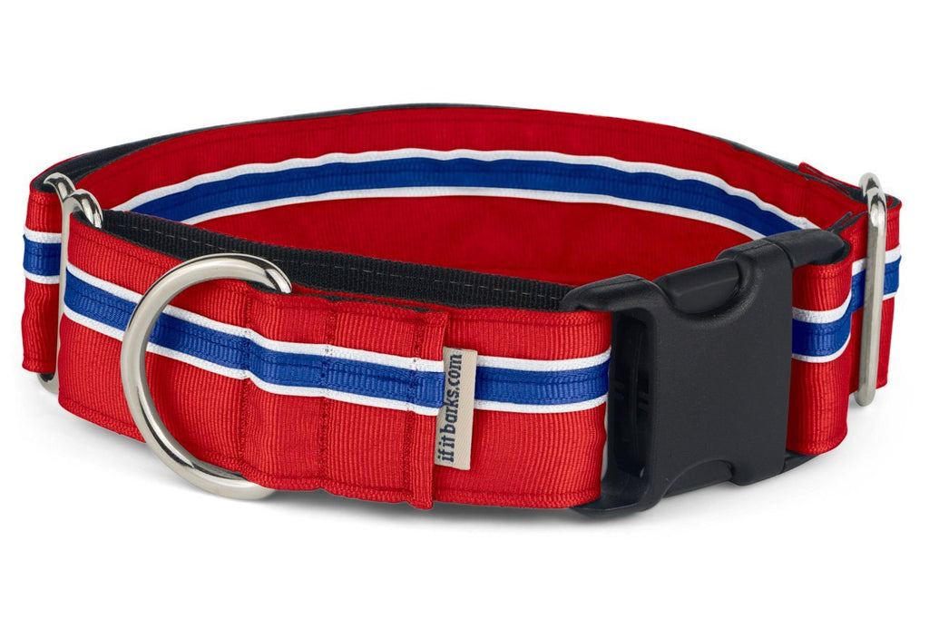 [Australia] - If It Barks - 1.5" Martingale Collar for Dogs - Adjustable - Nylon - Strong and Comfy - Ideal for Training - Made in USA Medium w/Buckle Patriotic 