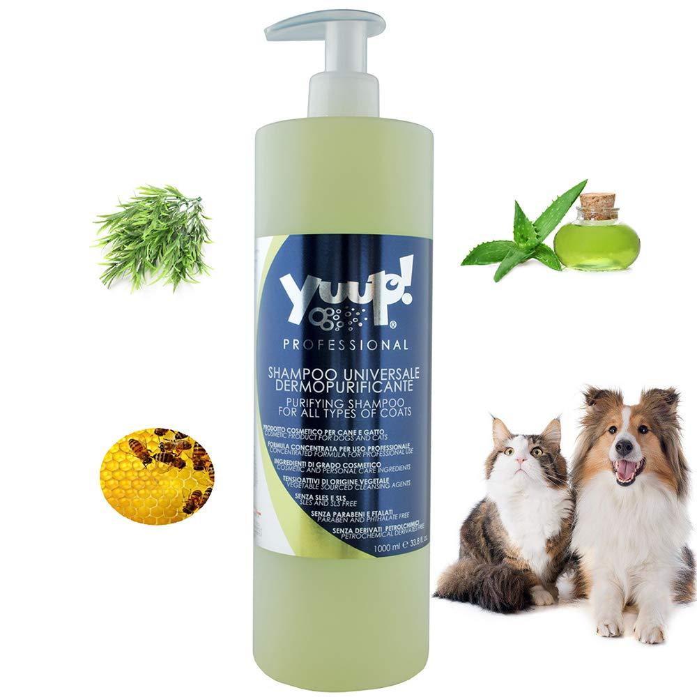 [Australia] - YUUP! Italy Home & Professional Shampoo for Dogs and Cats of All Types of Coats - Cleansing and Moisturizing, Ideal for Frequent Use(17 oz/ 33.8 oz) Professional: 33.8 oz/ 1000 ml 