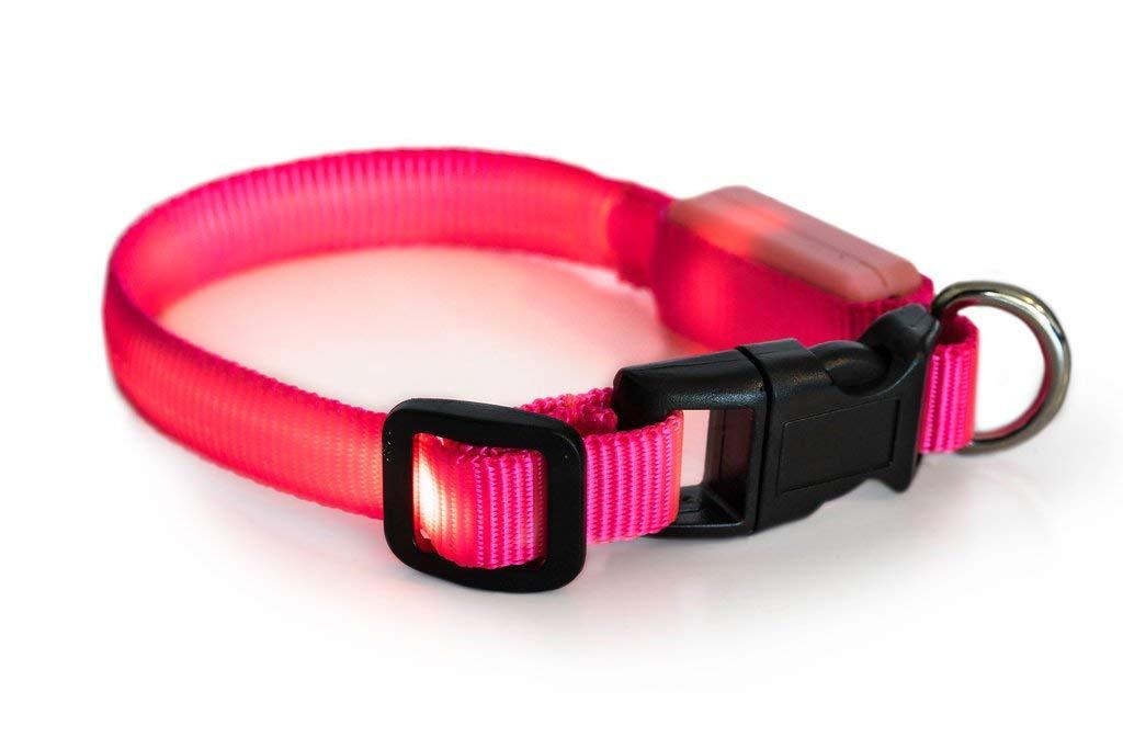 [Australia] - Great-Dealz LED dog Collar to Keep Your Dog Safe  – Flashing Dog Collar with Extra Batteries Small Min (6-8 inches) Pink 