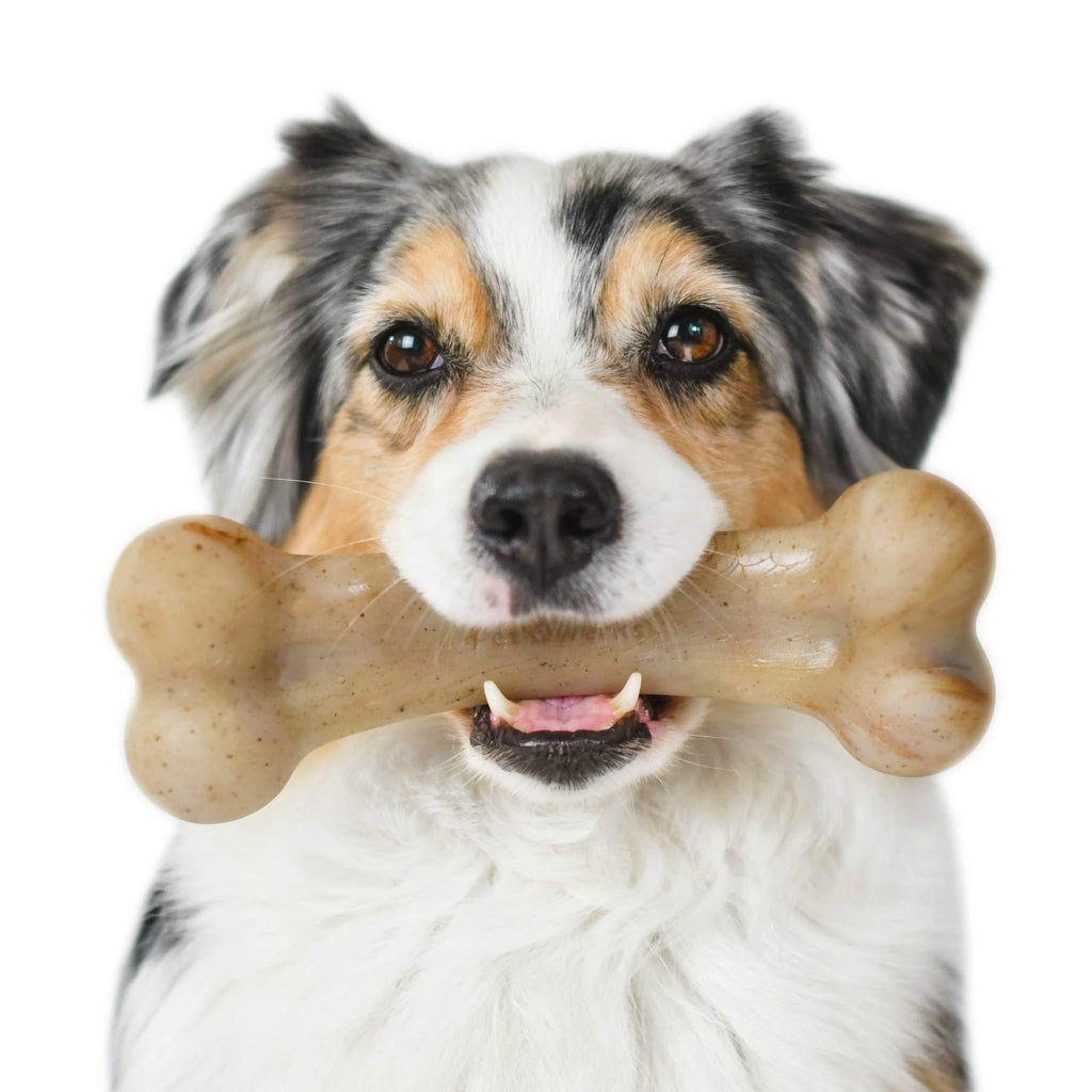 [Australia] - Pet Qwerks Flavor Infused BarkBone - Durable Chew Toy for Aggressive Chewers, Tough Extreme Power Chewer Bones | Made in USA REAL BACON Large 